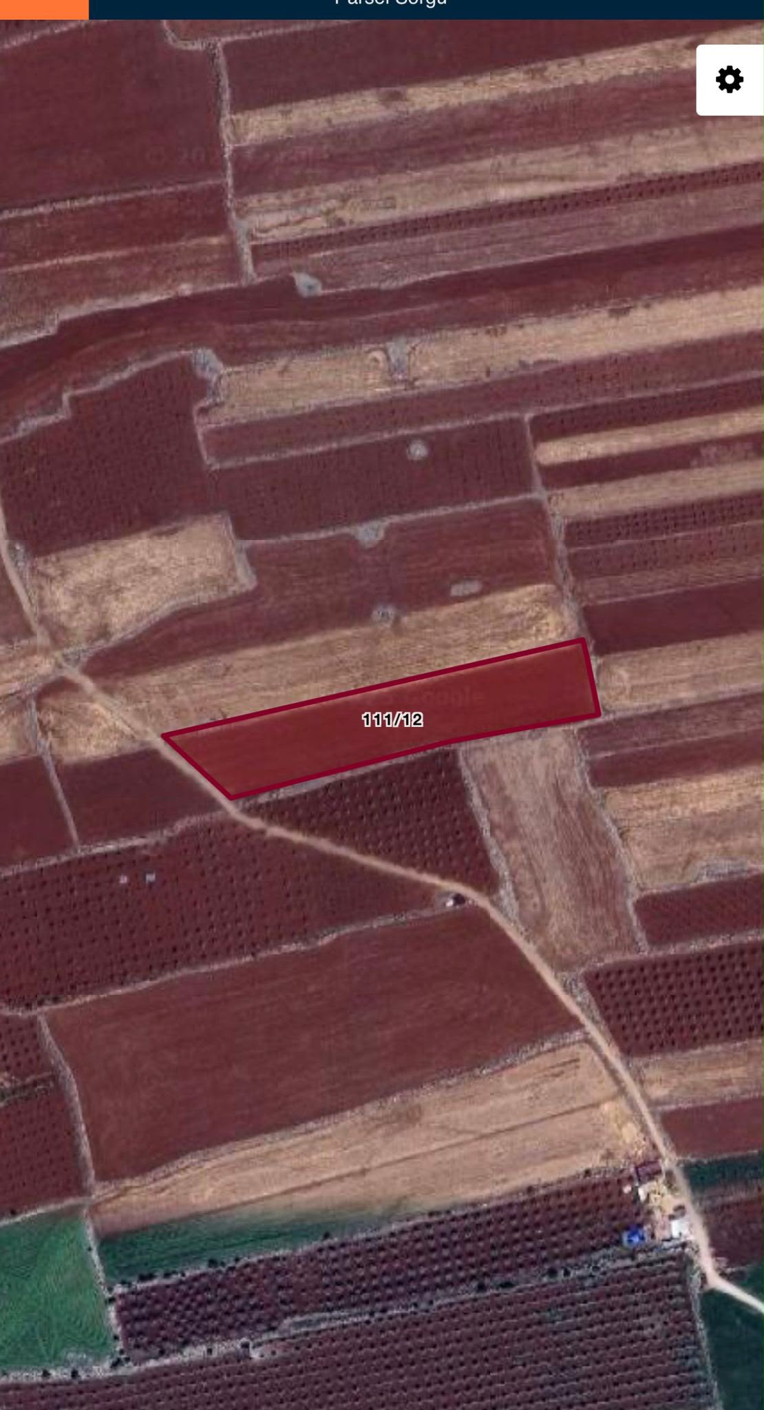 Kilis Yavuzlu'da 8.531 m² Zeytin Bahçesi - Yatırım Fırsatı!
